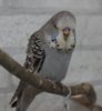IMG_5505.JPG