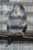 IMG_5447.JPG