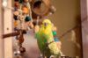 _DSC3780@0,25x.jpg