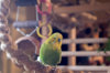 _DSC3793@0,25x.jpg
