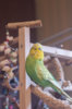 _DSC9281@0,25x.jpg