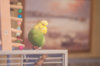 _DSC6674@0,25x.jpg