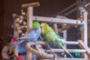 _DSC9294@0,25x.jpg