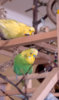 _DSC4814@0,25x.jpg