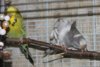 IMG_5667.JPG