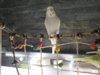 _1040191.jpg