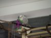 _1040265.jpg