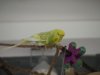 _1040094.jpg
