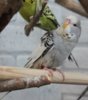 IMG_5742.JPG