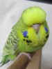 IMG_6851_cr.jpg