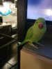 IMG-20190120-WA0002.jpg