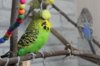 IMG_5963.JPG