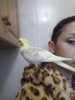 IMG_20190122_160646.jpg