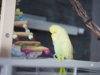 _1180355.jpg