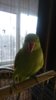 IMG-20190122-WA0007.jpg