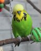 IMG_6060.JPG