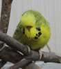 IMG_6068.JPG