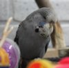 IMG_6044.JPG