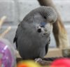 IMG_6048.JPG