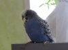 DSCN8511.jpg