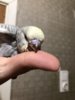 1FA7D103-52E7-4813-AE92-650872ABD8E1.jpeg
