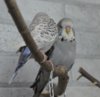 IMG_6290.JPG