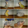PicsArt_02-01-09.32.57.png