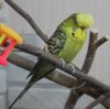 IMG_6757.JPG