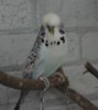 IMG_6759.JPG