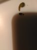 P_20190209_173617.jpg