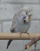 IMG_7001.JPG