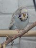 IMG_7029.JPG