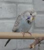 IMG_6999.JPG