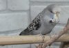 IMG_6836.JPG
