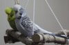 IMG_6780.JPG
