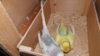 DSCF8078.JPG