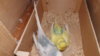 DSCF8079.JPG