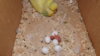 DSCF8084.JPG
