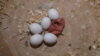 DSCF8090.JPG