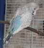IMG_7234.JPG