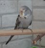 IMG_7185.JPG