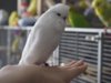 _2140138.jpg