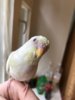 A1002E0C-9924-477C-80E3-34F2A65F0828.jpeg
