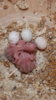 DSCF8171.JPG