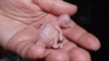 DSCF8174.JPG