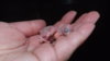 DSCF8175.JPG