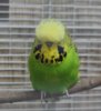 IMG_7444.JPG