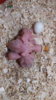 DSCF8177.JPG