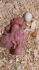 DSCF8178.JPG