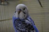 DSC_1348.JPG